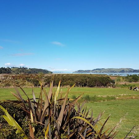 Отель The Little Farm Coromandel Экстерьер фото