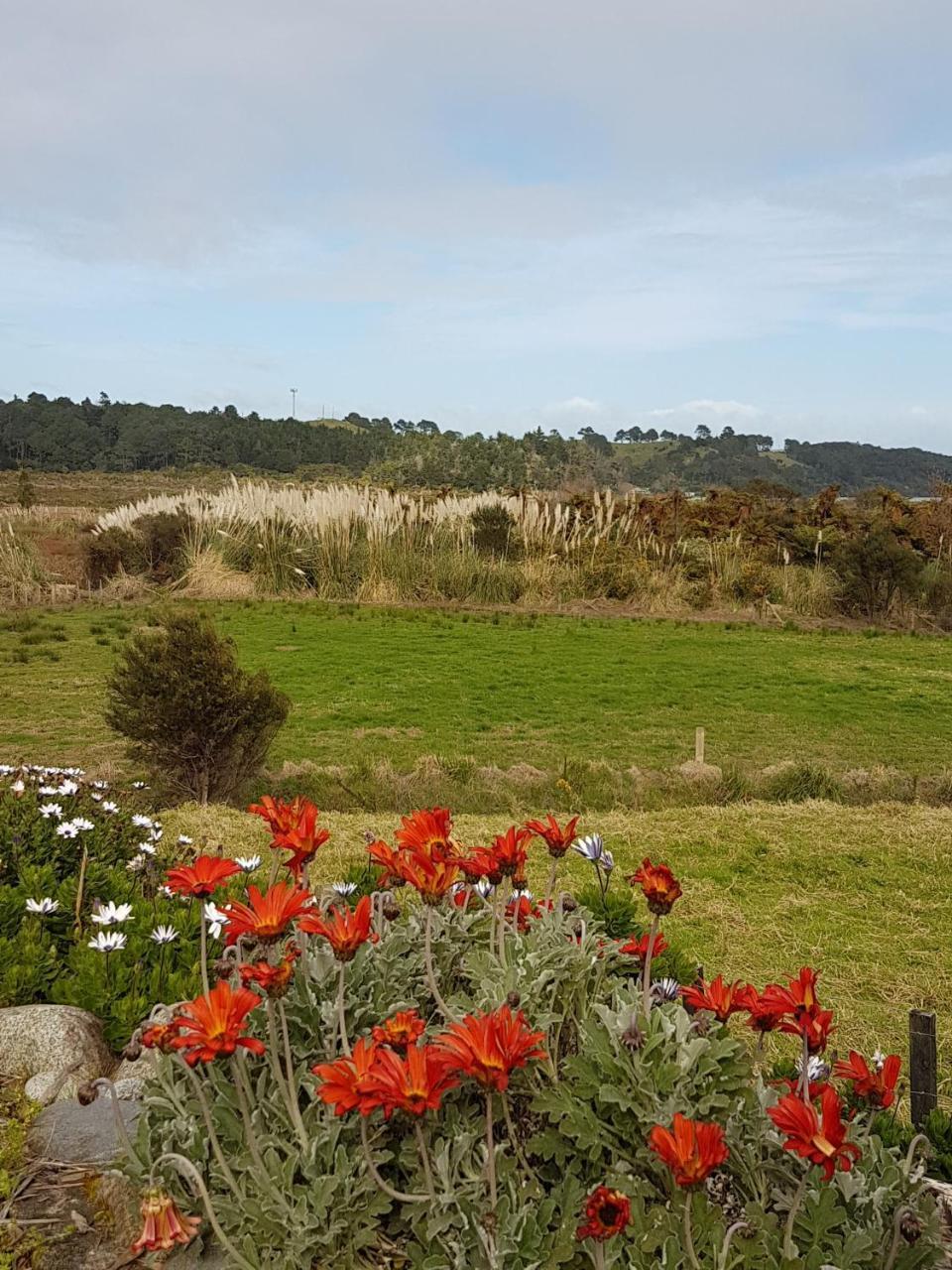Отель The Little Farm Coromandel Экстерьер фото