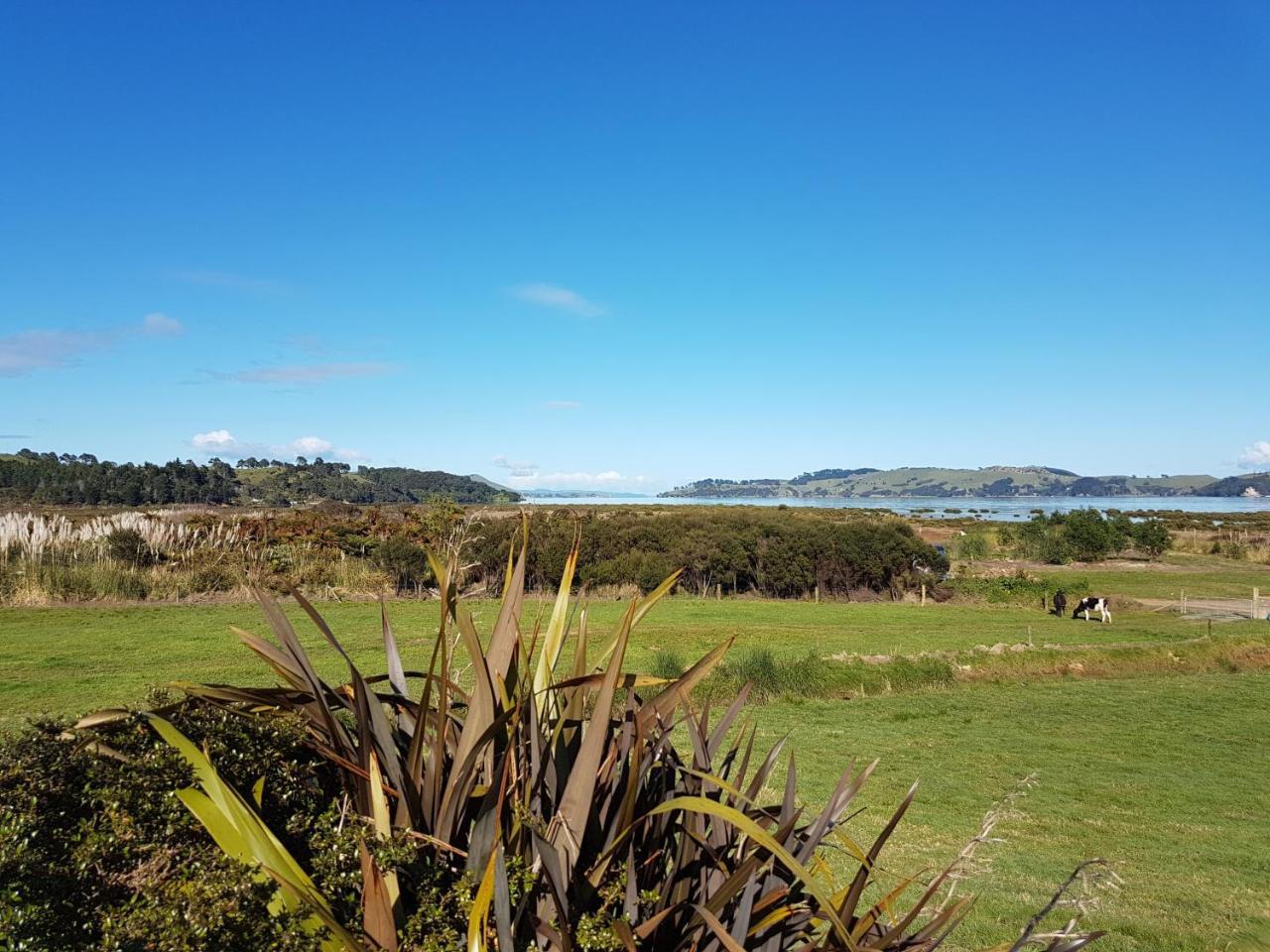 Отель The Little Farm Coromandel Экстерьер фото