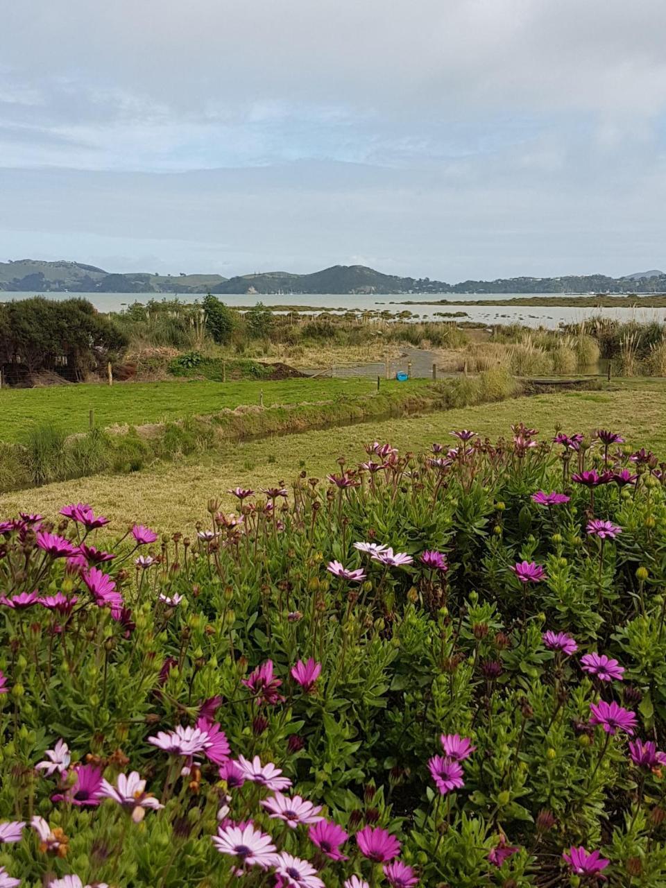 Отель The Little Farm Coromandel Экстерьер фото
