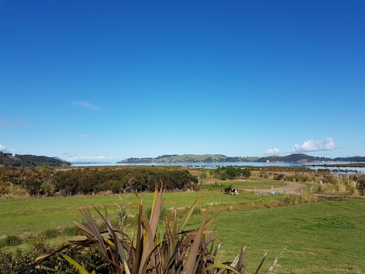 Отель The Little Farm Coromandel Экстерьер фото